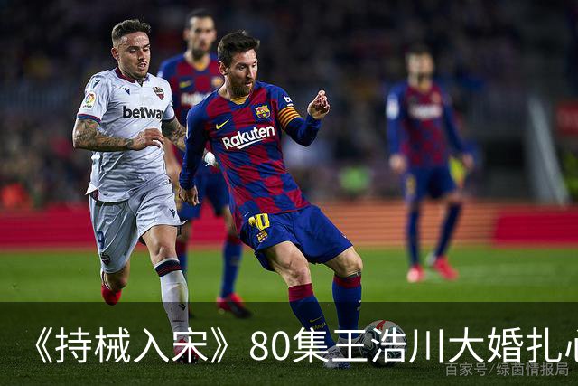 《持械入宋》80集王浩川大婚扎心全网，公主到底算什么？