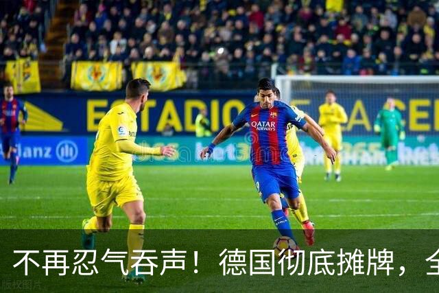 不再忍气吞声！德国彻底摊牌，全方位硬刚俄罗斯混合攻势