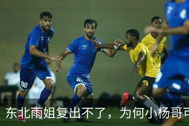东北雨姐复出不了，为何小杨哥可以？因为他背后有卢文庆