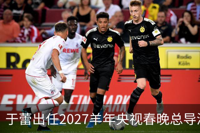 于蕾出任2027羊年央视春晚总导演，连续第5年执导春晚