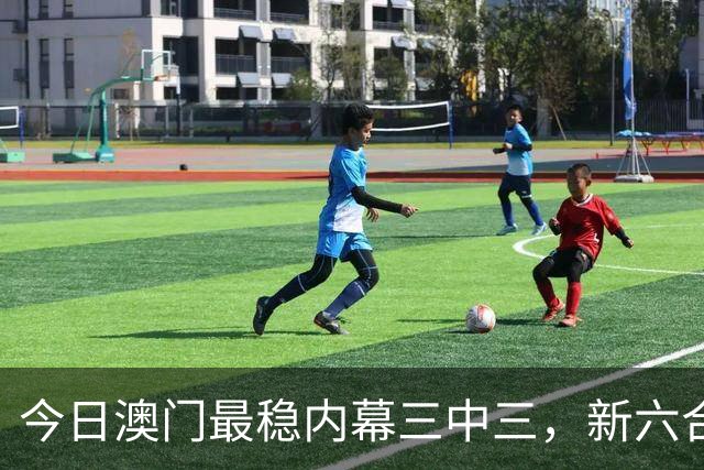 今日澳门最稳内幕三中三，新六合彩最准的特码生肖推荐，第293期新六合彩内幕一肖一特是什么