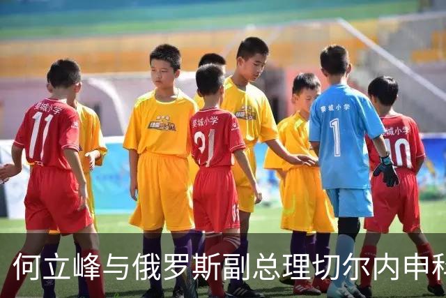 何立峰与俄罗斯副总理切尔内申科共同主持召开中俄总理定期会晤委员会第三十次会议