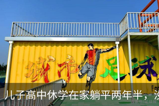 儿子高中休学在家躺平两年半，没拿到毕业证，后来也考上了大学
