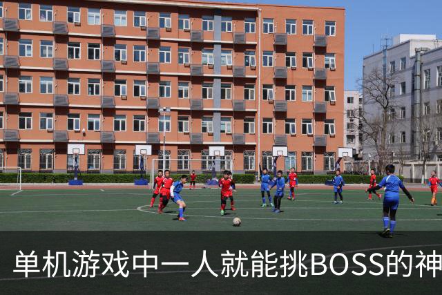 单机游戏中一人就能挑BOSS的神级跟班，主角：何必有我？