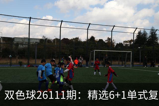 双色球26111期：精选6+1单式复式，区间轮换，蓝球奇数等待回补！