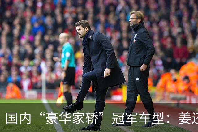 国内“豪华家轿”冠军车型：姜还是老的辣，月均销量超9900台