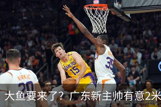 大鱼要来了？广东新主帅有意2米13欧洲中锋，保底能进总决赛了