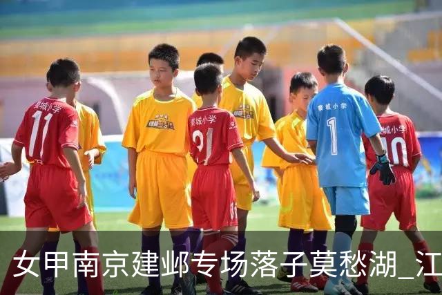 女甲南京建邺专场落子莫愁湖 江苏国缘V3队完胜福建