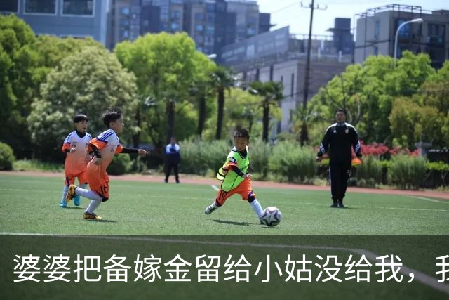 婆婆把备嫁金留给小姑没给我，我没吭声，女儿百日宴上她又嫌酒席小气，我当场抽出一份拆迁协议