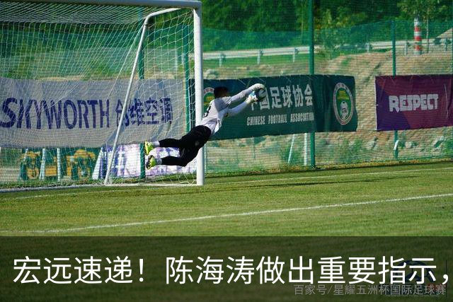 宏远速递！陈海涛做出重要指示，就等太阳队裁人，任骏飞回归，萨姆纳疑似受伤？