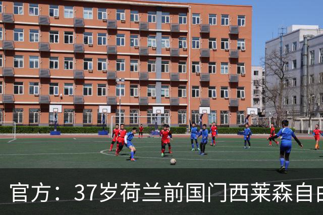 官方：37岁荷兰前国门西莱森自由身加盟荷甲前进之鹰