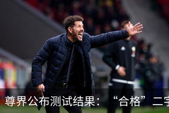 尊界公布测试结果：“合格”二字，能堵住刹车断裂的追问吗？