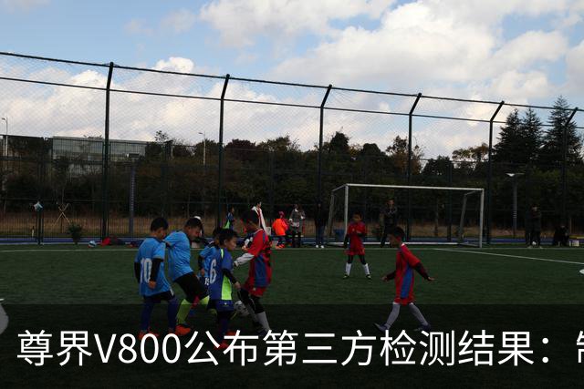 尊界V800公布第三方检测结果：制动踏板未出现损坏
