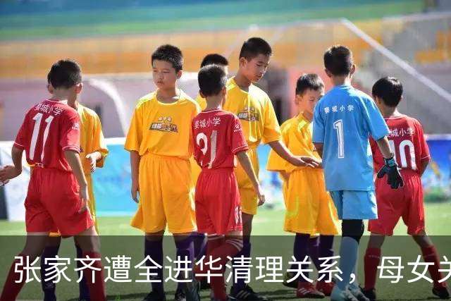 张家齐遭全进华清理关系，母女关系迎来反转，专业人士也解决不了