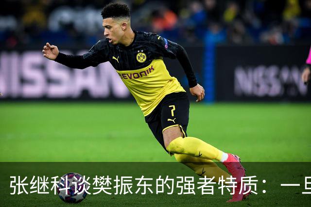 张继科谈樊振东的强者特质：一旦被他超越再去超越他完全不可能；回应传授樊振东霸王拧