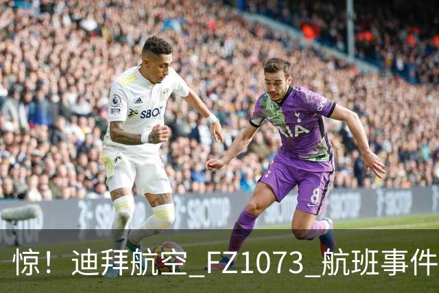 惊！迪拜航空 FZ1073 航班事件，行凶副驾被绑跪登机口画面曝光