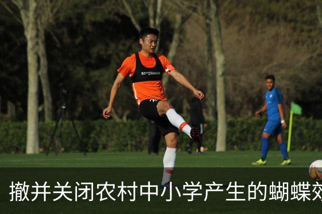 撤并关闭农村中小学产生的蝴蝶效应