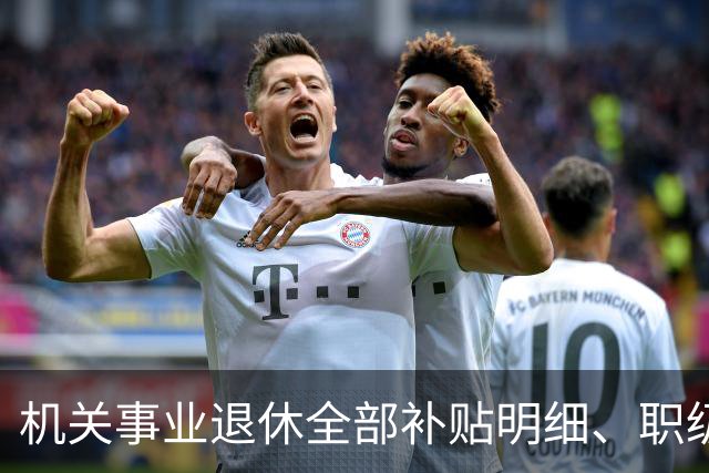 机关事业退休全部补贴明细、职级、年龄、标准一次性讲清楚