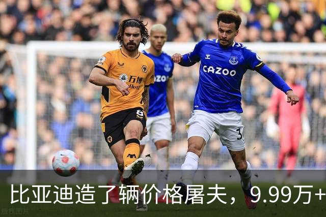 比亚迪造了辆"价格屠夫"，9.99万+220km纯电