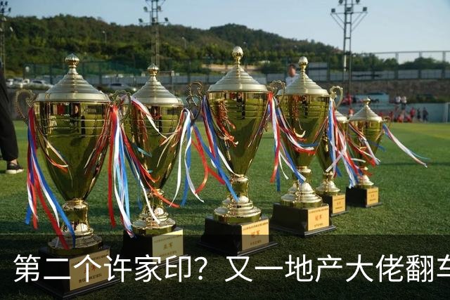 第二个许家印？又一地产大佬翻车，涉案超200亿，正式被立案调查