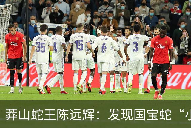 莽山蛇王陈远辉：发现国宝蛇“小青龙”，养100多条每条价格千万
