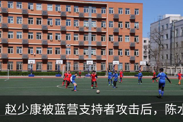 赵少康被蓝营支持者攻击后，陈水扁发声，沈伯洋向中间选民出手了