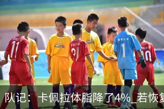 队记：卡佩拉体脂降了4% 若恢复弹跳能和申京组成另一套双塔
