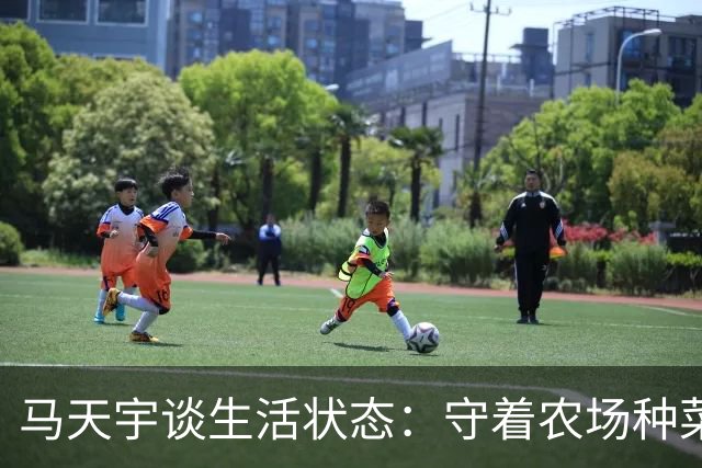 马天宇谈生活状态：守着农场种菜养鸡，钱够花便无所谓